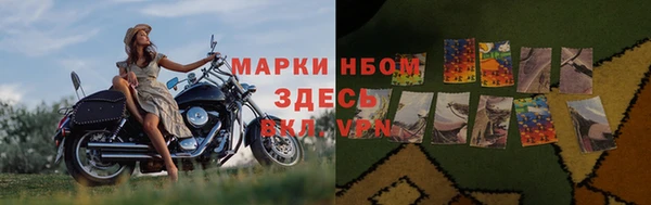 стаф Баксан