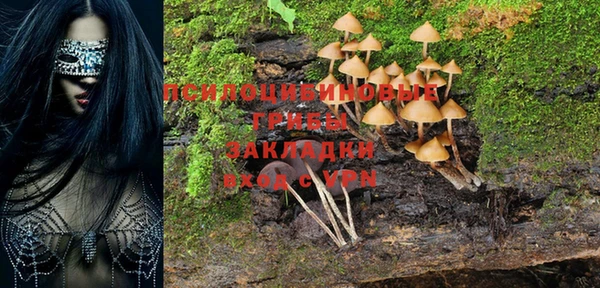 стаф Баксан