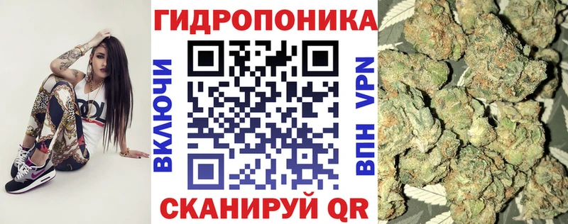 купить  цена  Трёхгорный  KRAKEN как войти  Канабис MAZAR 